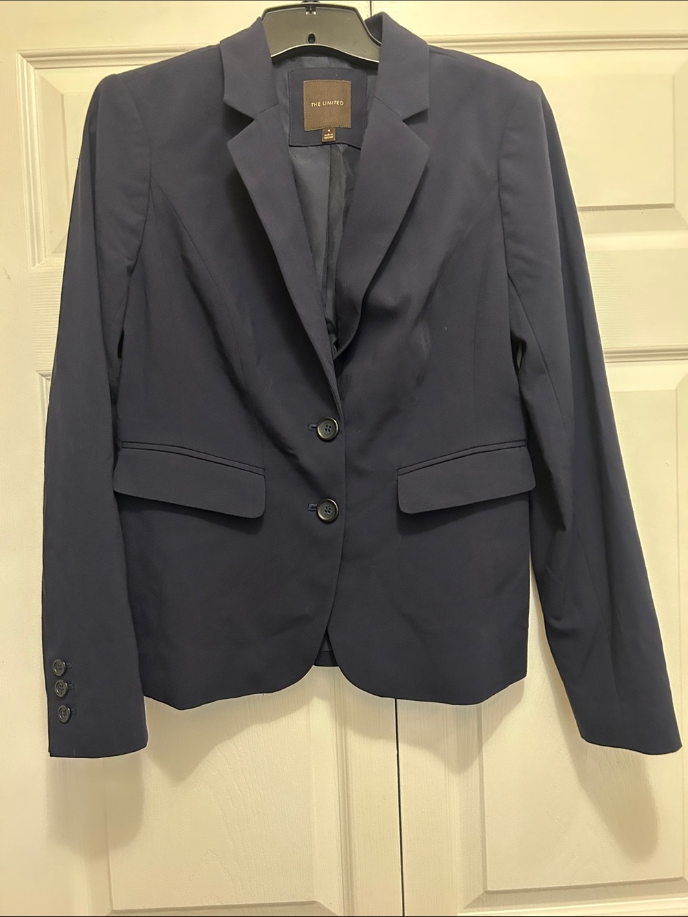 The Limited Navy Lined Two-Button Blazer